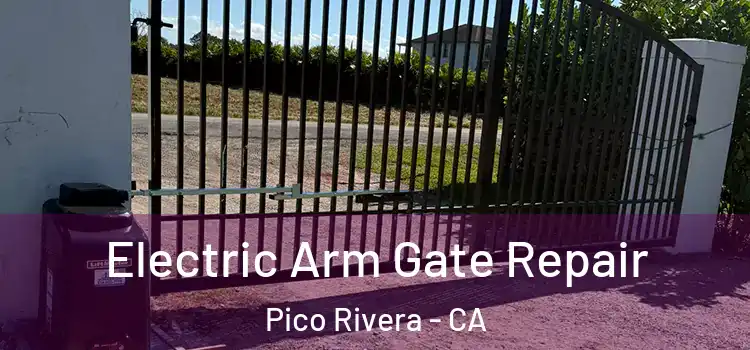 Electric Arm Gate Repair Pico Rivera - CA