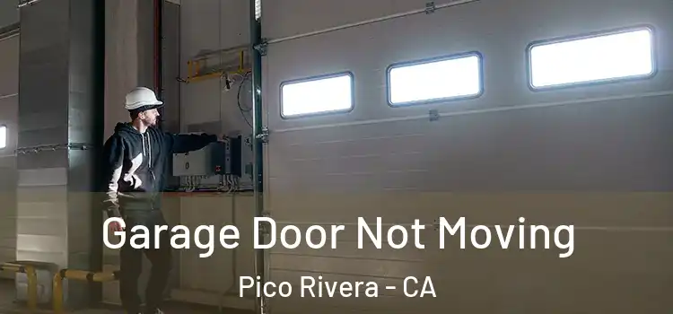  Garage Door Not Moving Pico Rivera - CA